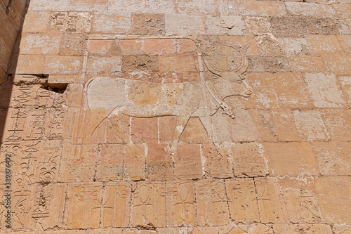 Hieroglyphs on a wall in the Valley of Kings in Luxor, Egypt