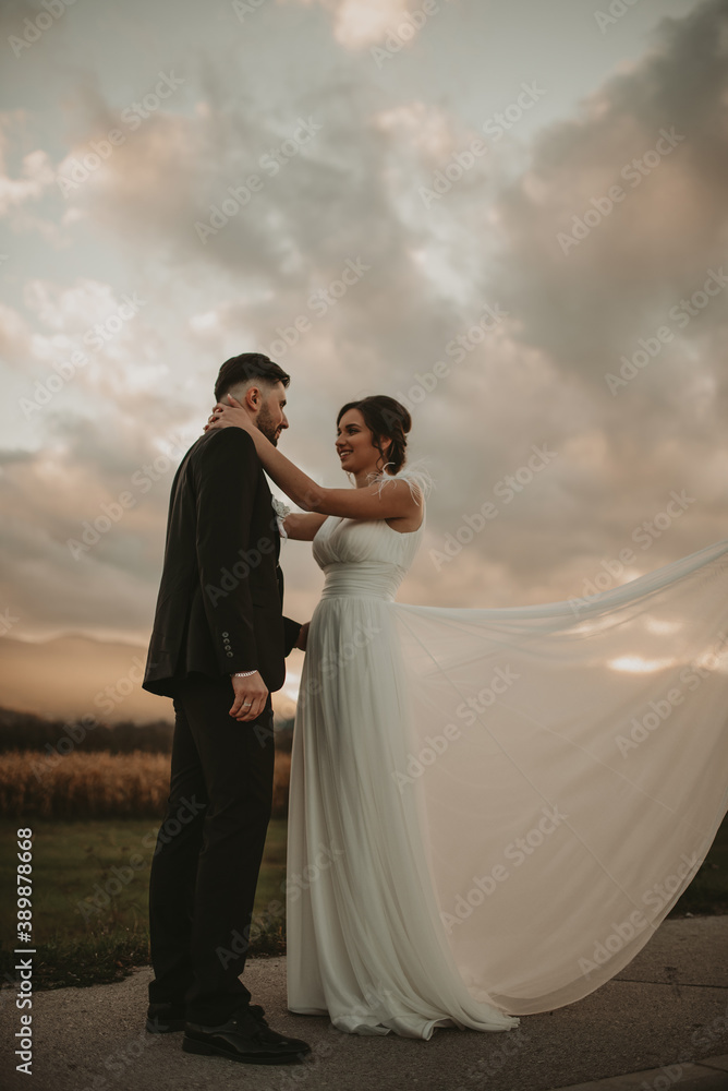 Bride and groom in a park kissing.couple newlyweds bride and groom at a wedding in nature green forest are kissing photo portrait.Wedding Couple Bride and groom in a park kissing.couple newlyweds bride and groom at a wedding in nature green forest are kissing photo portrait.Wedding Couple
