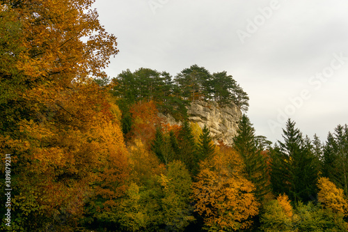 Colorful autumn forest mountain landscape panorama sunset - Austria