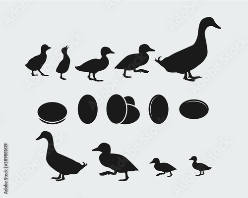 Ducks Sign Symbol Vector Illustration, Mom and Baby Ducks vector bundle
