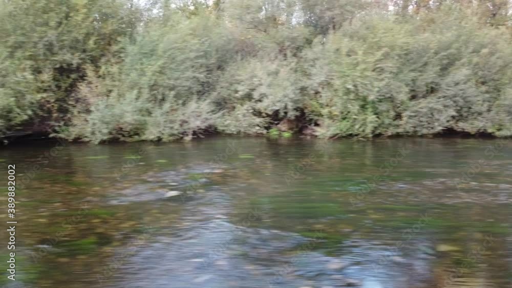 krajobraz rzeka drzewa natura woda jesień krajobraz rzeka drzewa natura woda jesień
