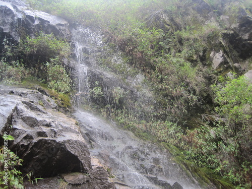 The jungle and mountain landscapes around Banos and Mindos cloud forests in Ecuador, South America photo