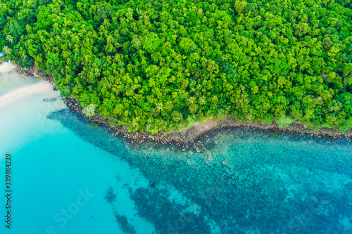 Aerial view seascape tropical green tree forest on sea island