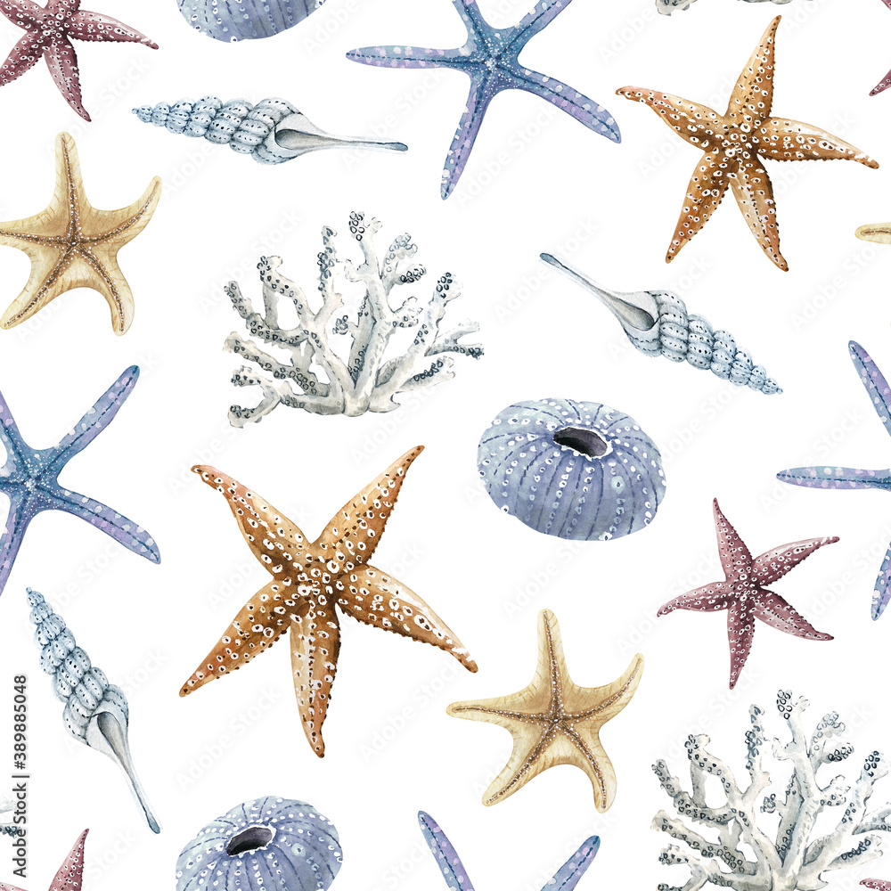 seamless pattern with watercolor illustrations in nautical style on white background, hand painted sea vows molluscs and corals close up - obrazy, fototapety, plakaty 