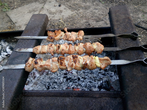 Pork shashlik grilled on charcoal in the country