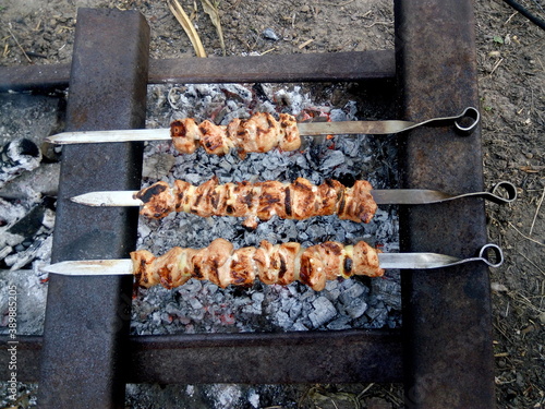 Pork shashlik grilled on charcoal in the country
