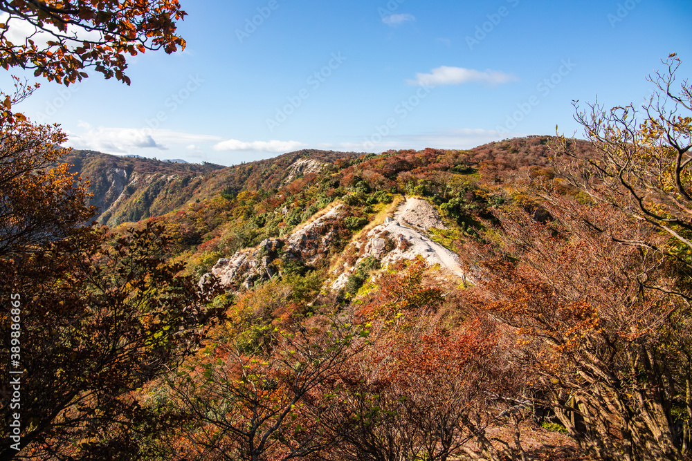 紅葉に色づく鈴鹿山脈、釈迦ヶ岳から竜ヶ岳の尾根道を歩いて