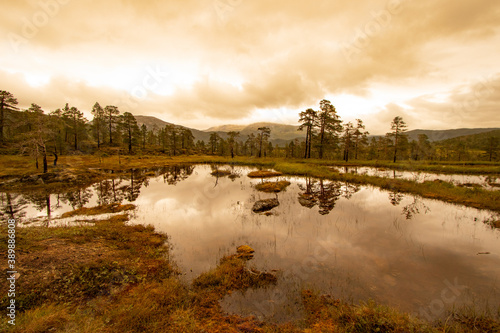 Anderdalen National Park, Senja, Norway