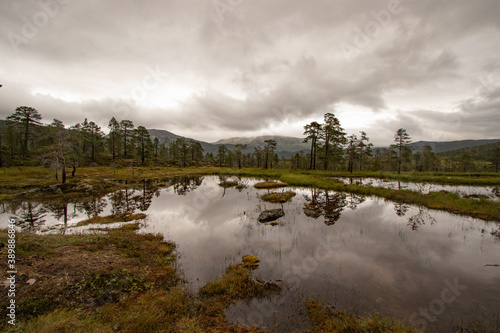 Anderdalen National Park, Senja, Norway