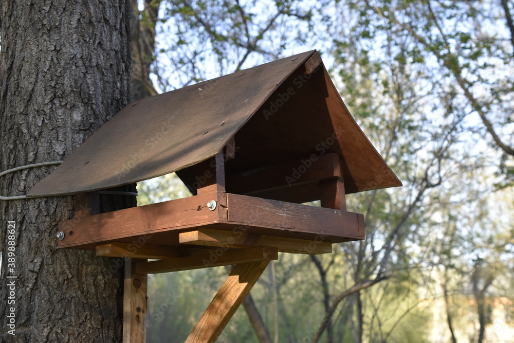 A wooden feeder with self-tapping screws is attached to a tree. A wooden feeder with self-tapping screws is attached to a tree.