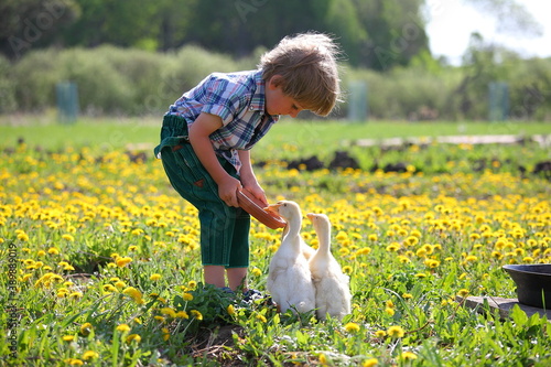 the life of a little boy in nature in
 the village
village boy story
communication and contact with nature
preservation of freedom
free baby and his days
