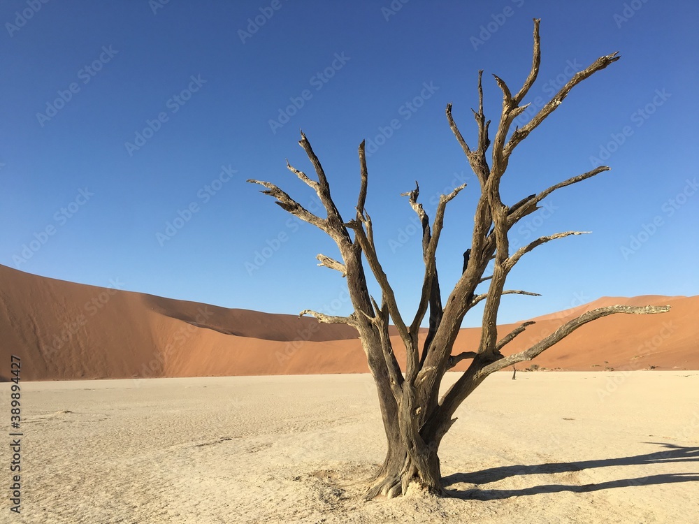 Death Valley - Namibia