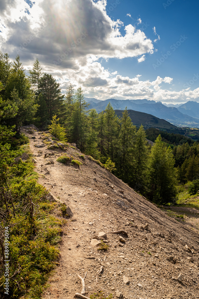 Fotografie montagne en été