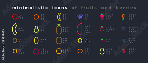 Fototapeta Naklejka Na Ścianę i Meble -  Set of minimalist icons of fruits and berries. Simplified style. Abstract icons. Vector
