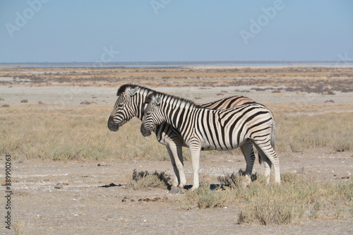 Namibia © Matthieu