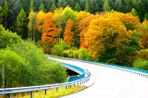 herbstliche Straße in der Eifel photo