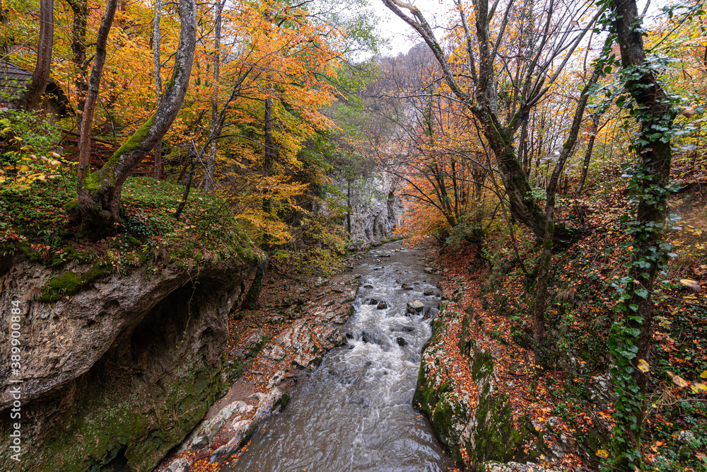 Bigar Waterfall in the Romanian mountains - amazing view of one of the most beautiful waterfalls in Europe during an autumn day with great fall colors