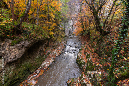 Fototapeta Naklejka Na Ścianę i Meble -  Bigar Waterfall in the Romanian mountains - amazing view of one of the most beautiful waterfalls in Europe during an autumn day with great fall colors