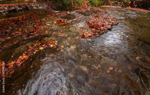 Wide angle view of a river with small waterfalls in the heart of a forest - autumn view with great fall colors