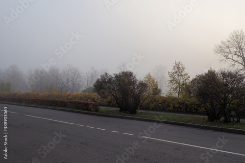 empty road on a foggy autumn morning