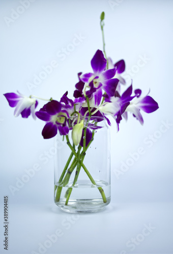 A bouquet of purple orchids in a glass jar is placed on the white back ground