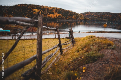 autumn landscape in the mountains