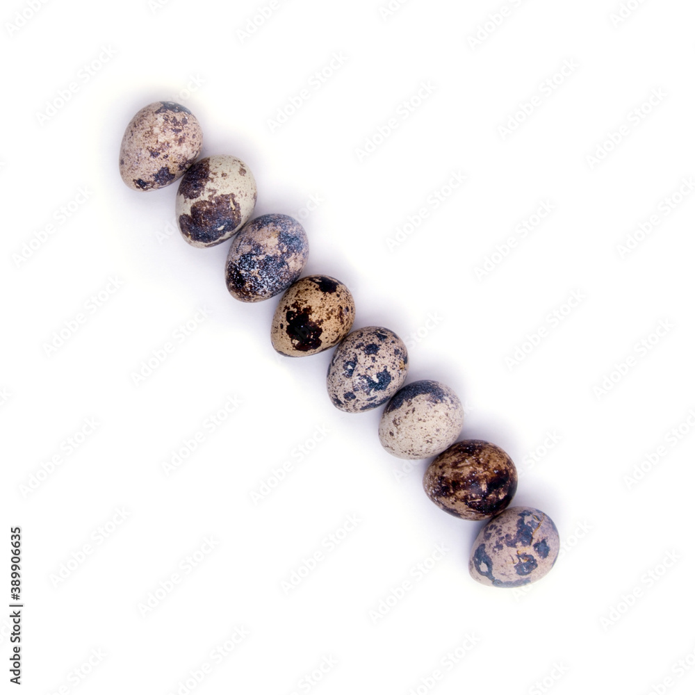 Quail eggs laid out in a single line, close-up on a white background, copy space, Quail eggs laid out in a single line, close-up on a white background, copy space,