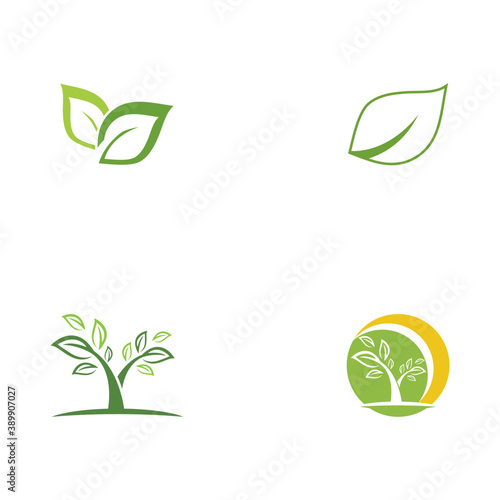 Set Leaf  ecology Logo Template vector