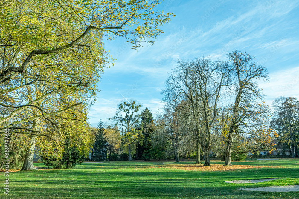 Obraz premium old historic Kurpark in Bad Homburg in autumn colors,
