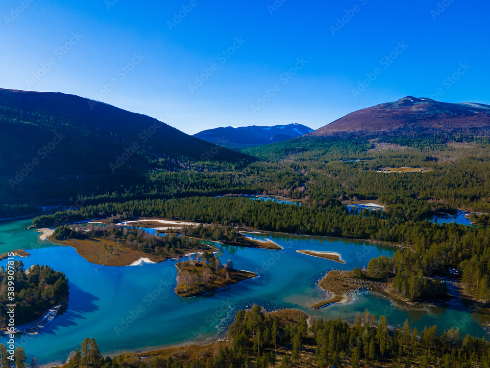 Serene mountain lake and pine forest in the wild mountains on a sunny day with clear blue skies.