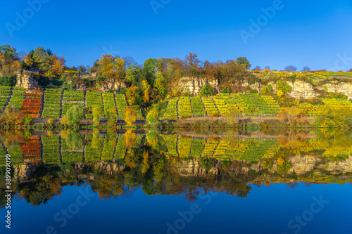 steep and rocky vineyards i...