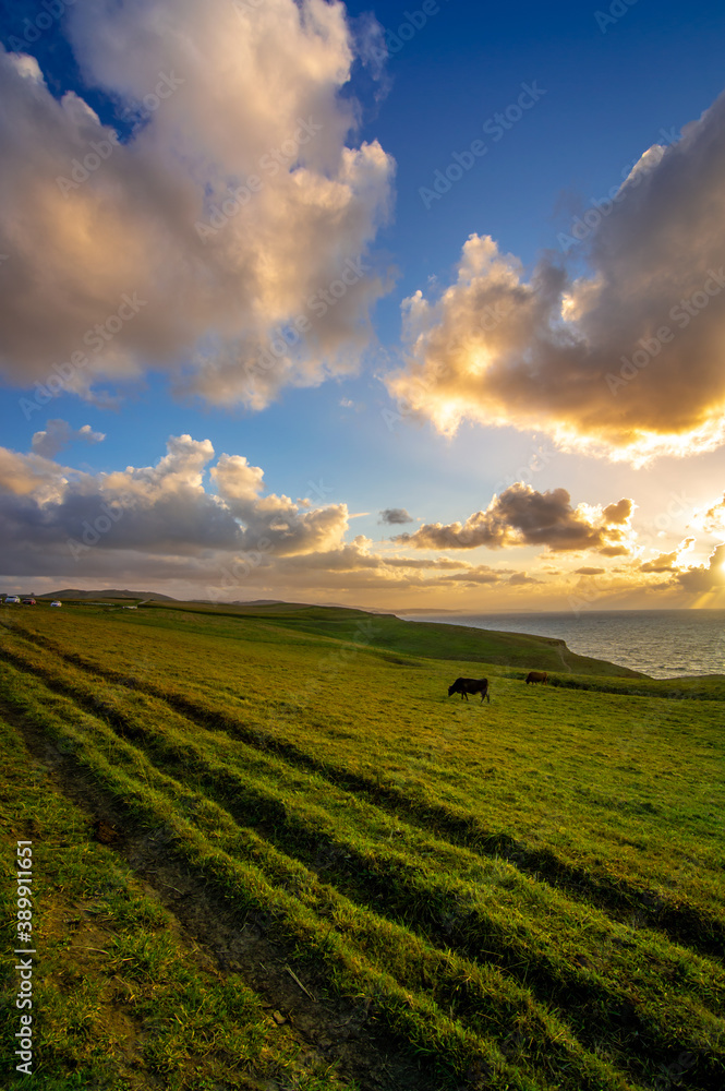Obraz premium Sunset on cliff overlooking the sea in cloudy day. Grass and animals in the image. HDR colors. Spain