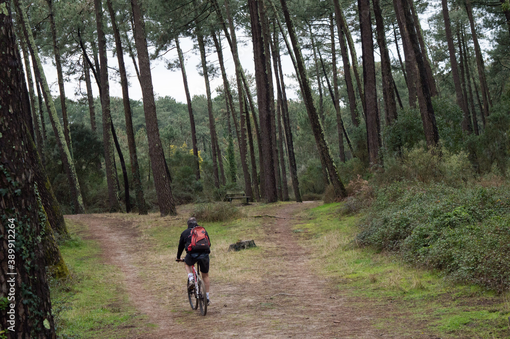Pratiquer le vélo sur une piste en forêt