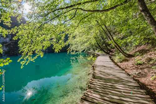 Wooden bridge footpath over a small lake with bulrush in The Plitvice Lakes National Park in Croatia Europe.