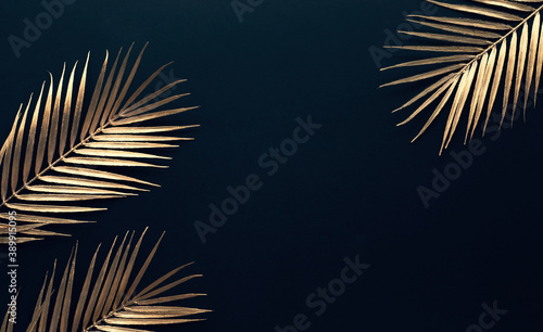 Collection of tropical leaves in gold color on black space background.Abstrac...