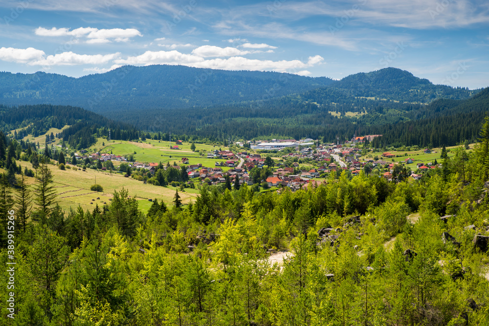Mountain village in summer landscape