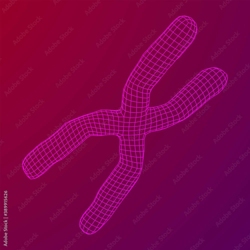 Chromosome scientific medicine education concept. Chromosome scientific medicine education concept.