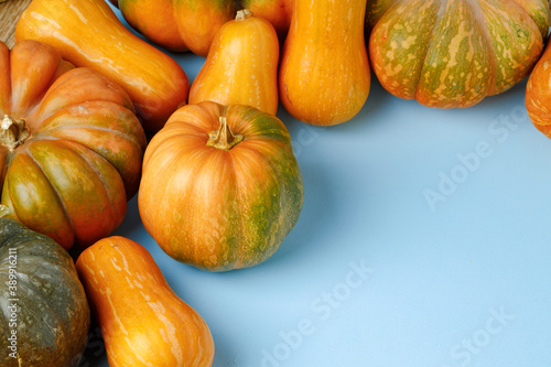 Set of different color pumpkins on blue background