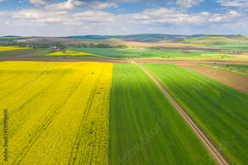 Fresh colors fields from above © savcoco