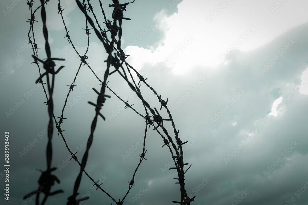 Barb wire fence.