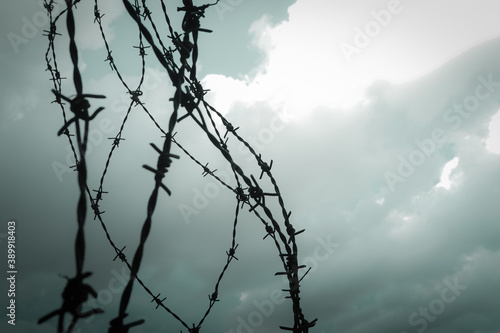 Obraz na płótnie Barb wire fence. w salonie