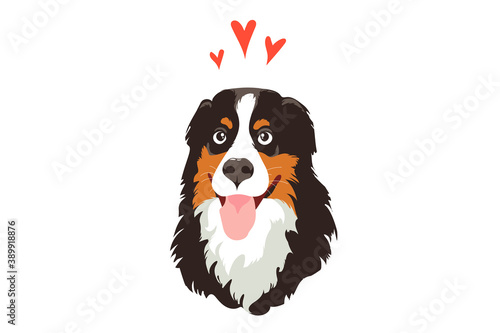 Adorable dog for a holiday card. Adopt a pet, bright advertising. Bernese Mountain Dog on a white background with hearts above the muzzle.