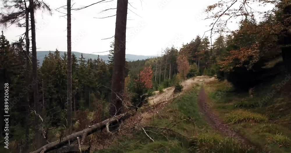 Lonesome forest in germy at a cloudy day by drone. Lonesome forest in germy at a cloudy day by drone.