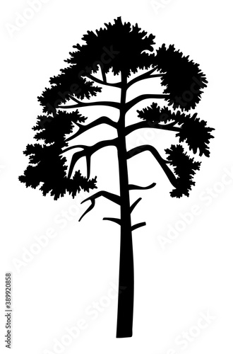 Cartoon illustration of black tree isolated at white background. Tree with crown. Nature concept. Vector emblem. Landscape interface  icon tree of wood. Flat style of organic plant