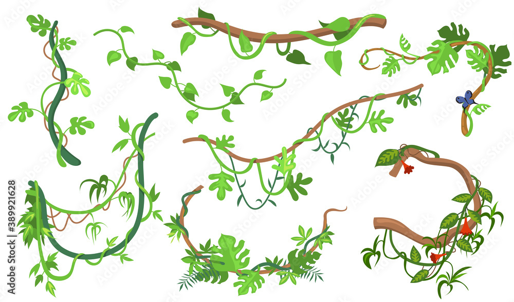 Colorful liana or jungle plant flat set for web design. Cartoon climbing twigs of tropical vines and trees isolated vector illustration collection. Rainforest, greenery and vegetation concept - obrazy, fototapety, plakaty 