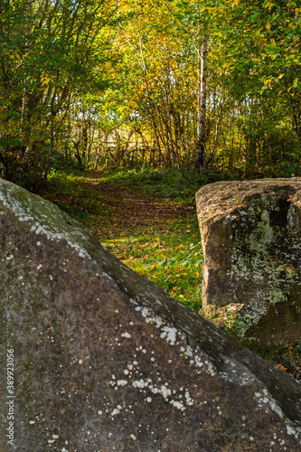 a selection of shots taken in a park