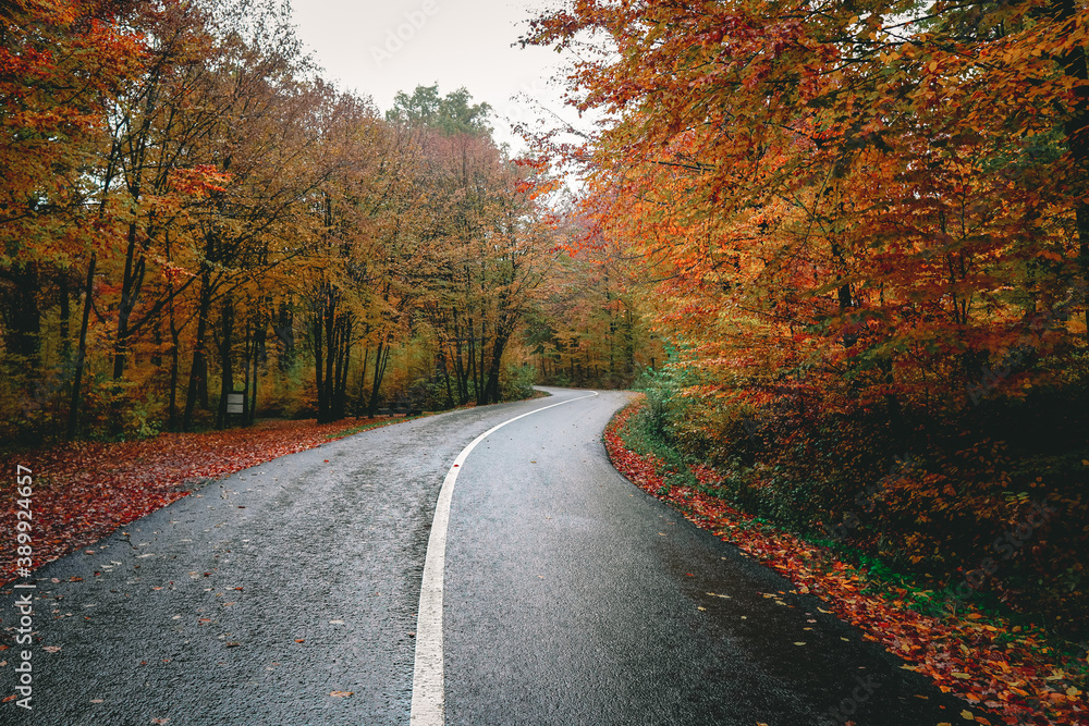 Amazing autumn scenery in early November Amazing autumn scenery in early November