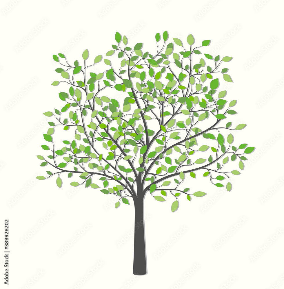 Tree with green leaves on a light background