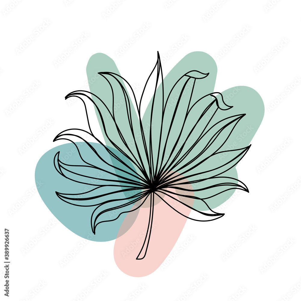 Tropical leaf isolated on white in a linear style. Tropical leaf isolated on white in a linear style.