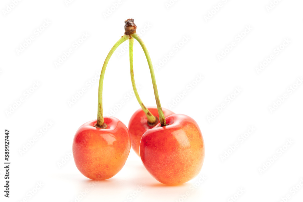 bunch with three cherries isolated on white background bunch with three cherries isolated on white background